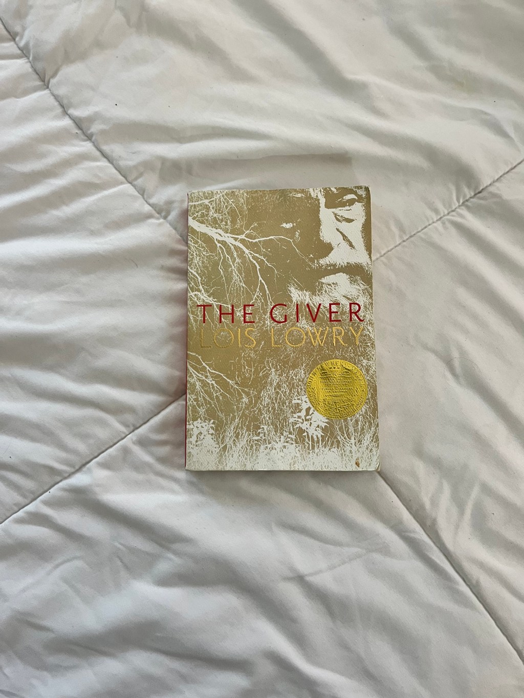 “The Giver” Book Review… sort&nbsp;of
