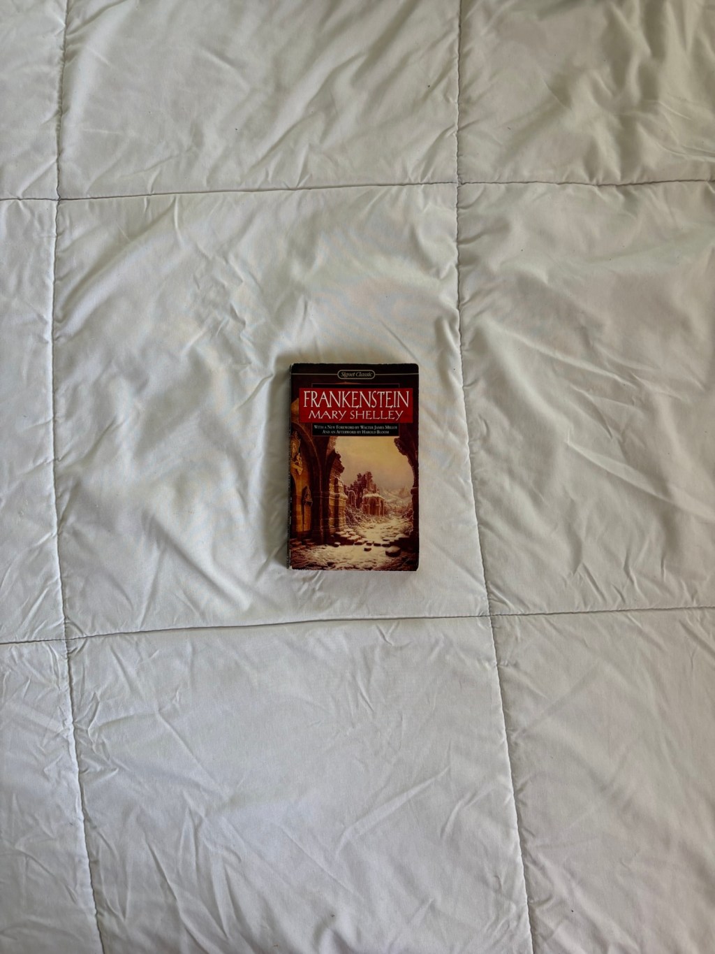 “Frankenstein” by Mary Shelley – A Book Review… Sort&nbsp;of