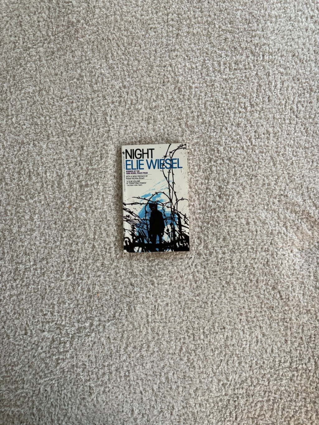 “Night” by Elie Wiesel – A Book Review… Sort&nbsp;of