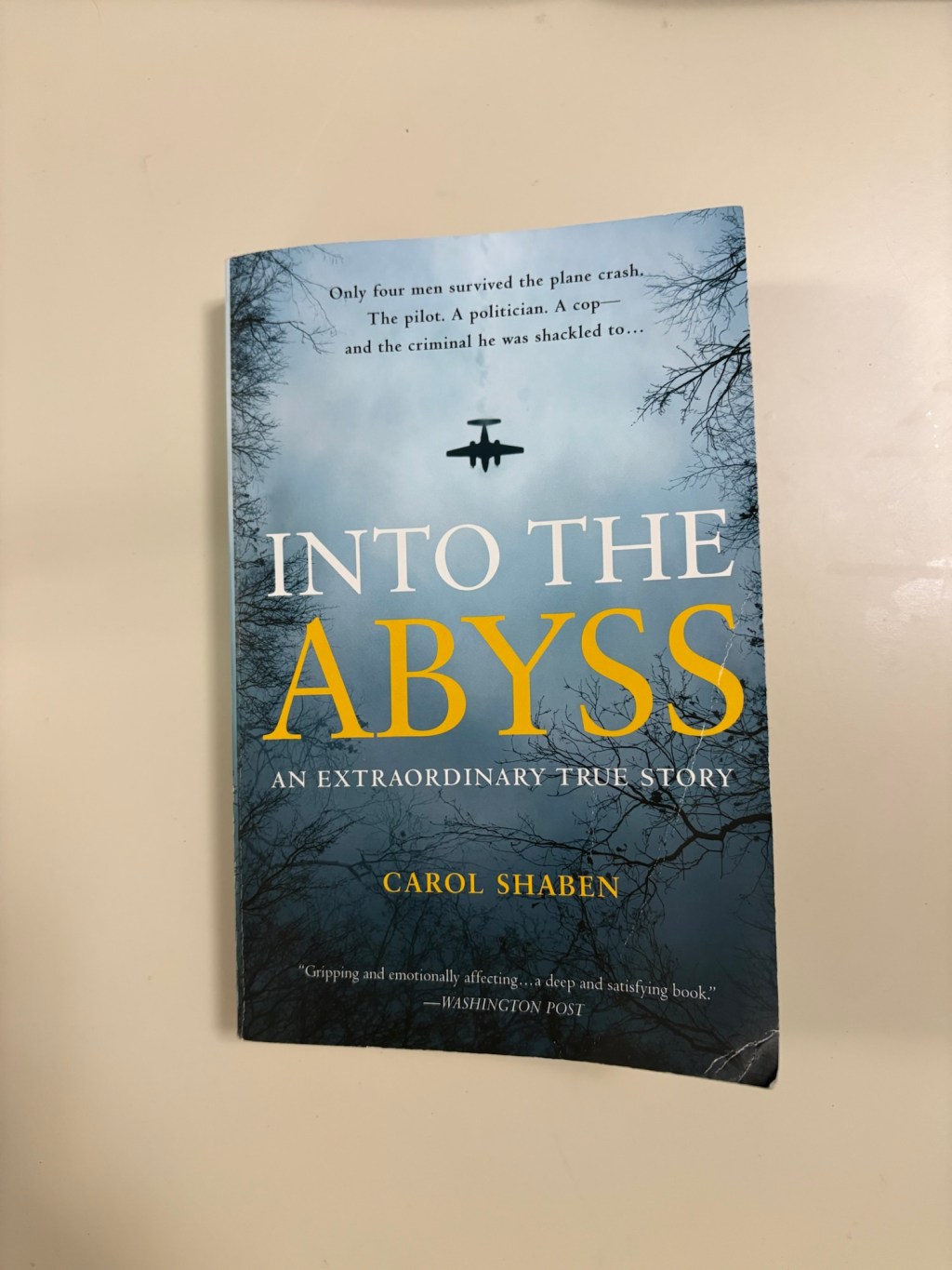 “Into the Abyss” by Carol Shaben – A Book Review… Sort of