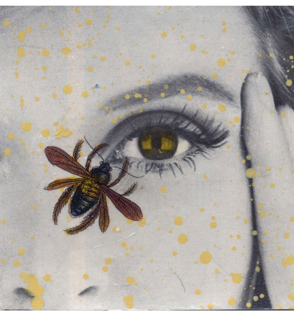 “Bee Sting in the Eye” by James Valvis – A Poem Review… Sort of
