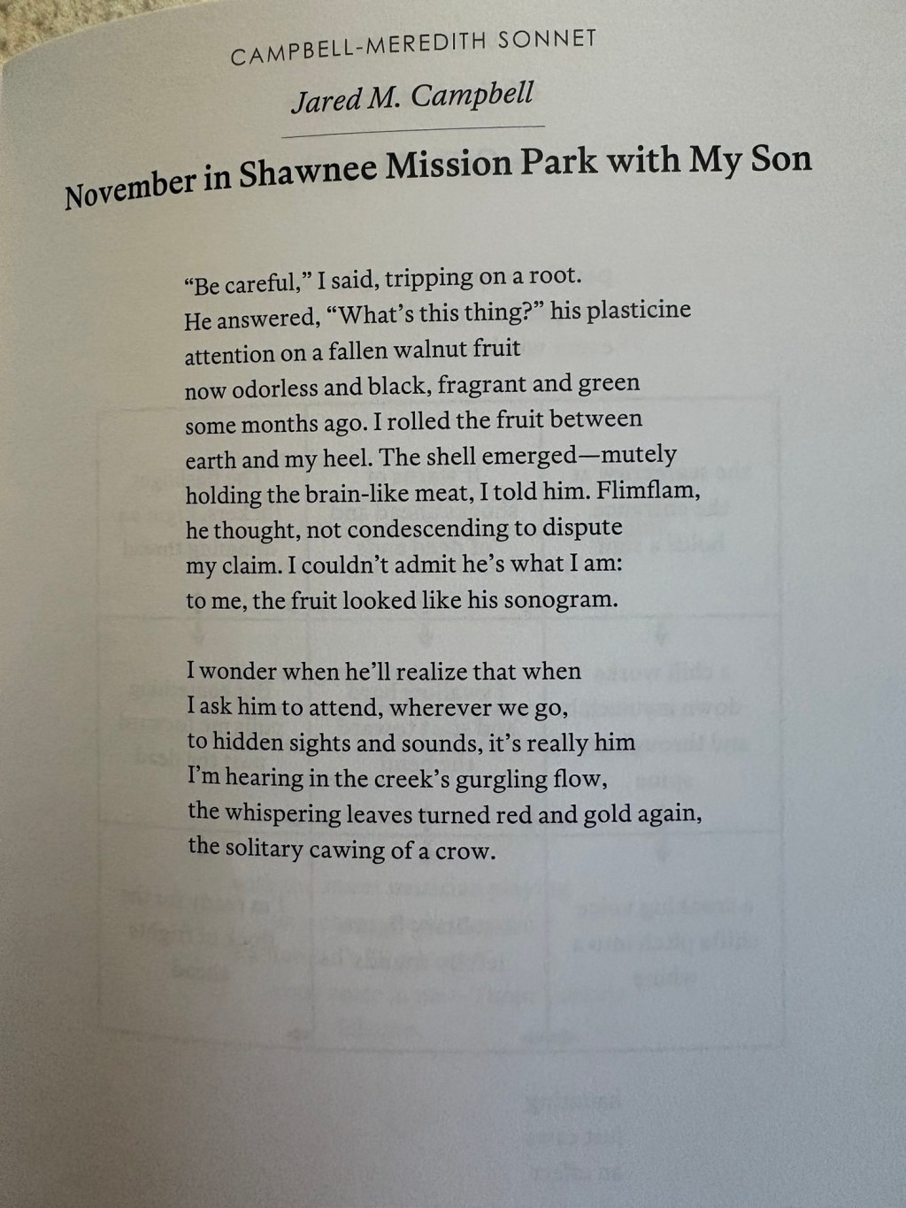 “November in Shawnee Mission Park with My Son” by Jared M. Campbell – A Poem Review… Sort&nbsp;of