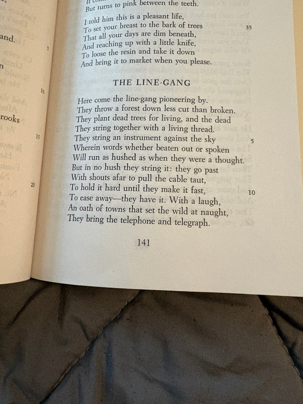 “The Line-Gang” by Robert Frost – A Poem Review… Sort&nbsp;of