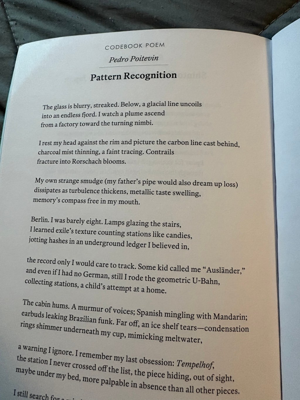 “Pattern Recognition” by Pedro Poitevin – A Poem Review… Sort of